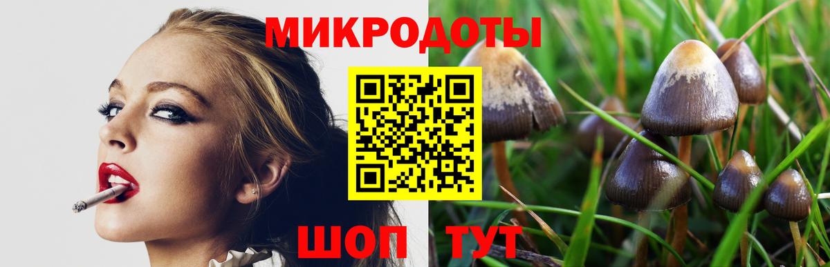 Галлюциногенные грибы MAGIC MUSHROOMS  Псилоцибиновые грибы Magic Shrooms  Вход с VPN  Назрань 